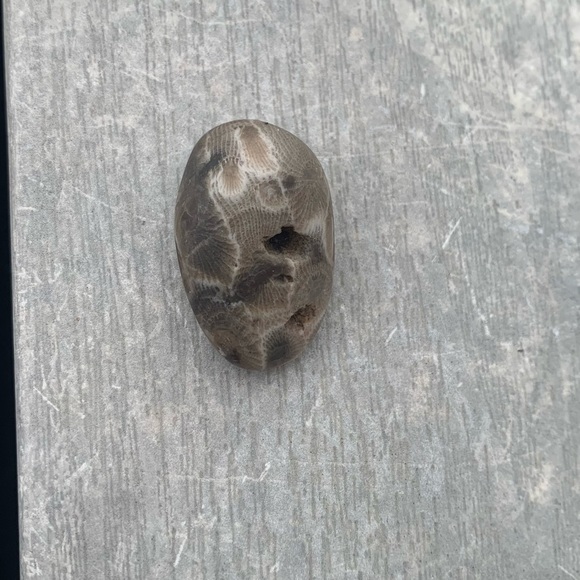 Petoskey stone - Picture 4 of 7